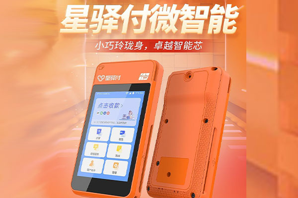 临桂国通微电签POS机